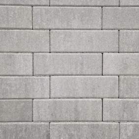 Nature top longstone 31,5x10,5x7cm concrete