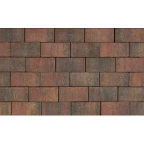 Tremico Betonklinker 21x10,5x7 cm Bont