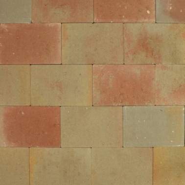 Vlaksteen 20x30x6cm Terrageel