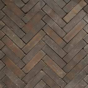 Gebakken stenen Rustiek waalformaat 20x5x6 cm Carpo