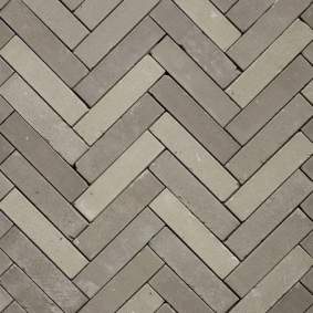 Gebakken stenen Rustiek waalformaat 20x5x6 cm Lotis