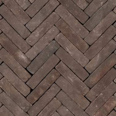 Gebakken stenen Rustiek waalformaat 20x5x6 cm Norton