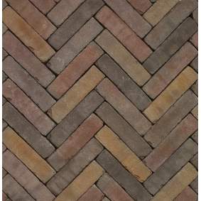 Gebakken stenen Rustiek waalformaat 20x5x6 cm Supraton