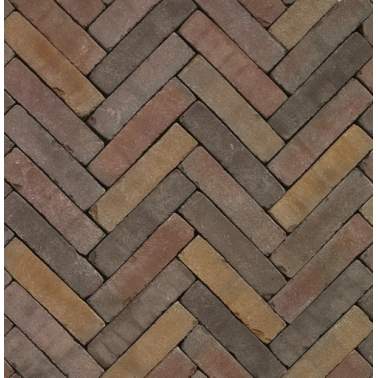 Gebakken stenen Rustiek waalformaat 20x5x6 cm Supraton