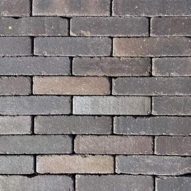 Gebakken stenen Rustiek waalformaat 20x5x6 cm Globe