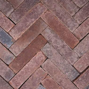 Gebakken waalformaat Hollandse streken 5x20x6cm Sallands