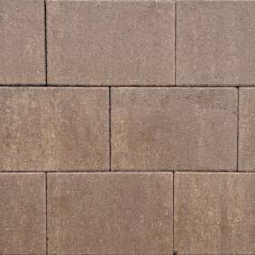 PARTIJ Opritsteen 20x30x6cm Ash