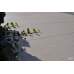 Monocibec 50x100x2cm Crest Sand